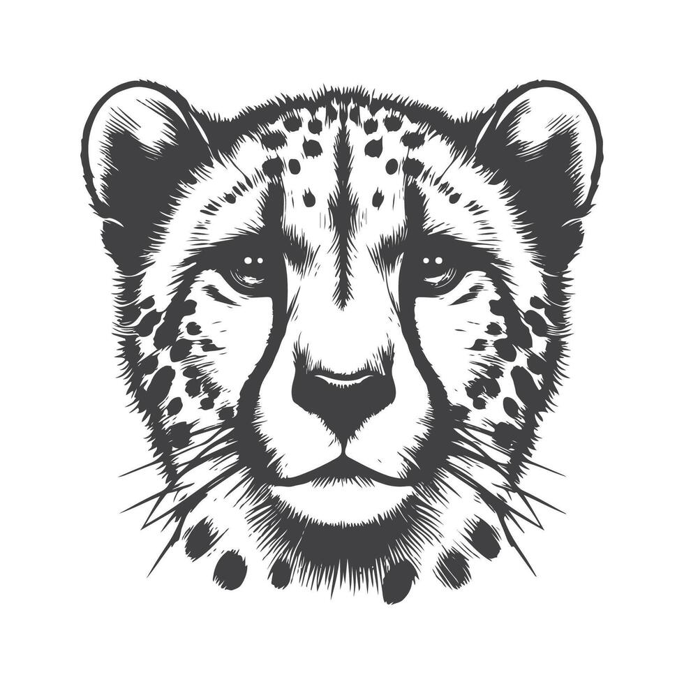 Elegant Cheetah Head Drawing Swift and Graceful Wild Cat Sketch Art vector