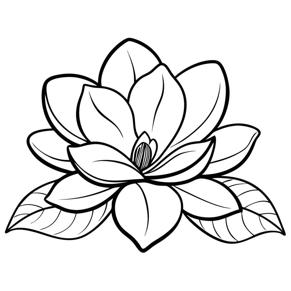 Intricate Magnolia Flower Coloring Page with Botanical Details vector
