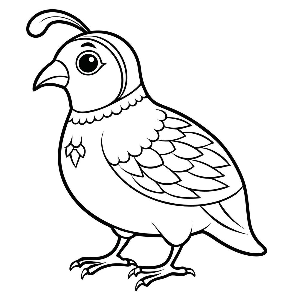 Printable Quail Coloring Page for Kids to Learn and Color vector