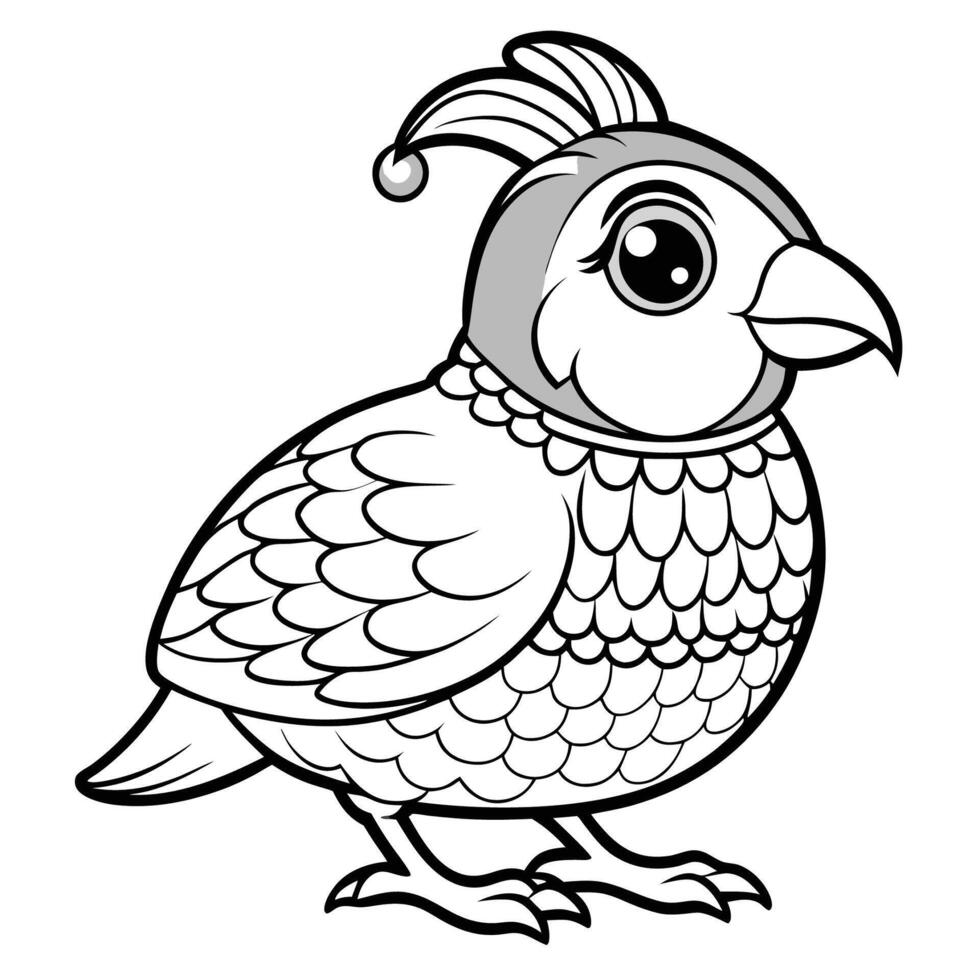 Quail Coloring Page for Kids Detailed and Educational vector
