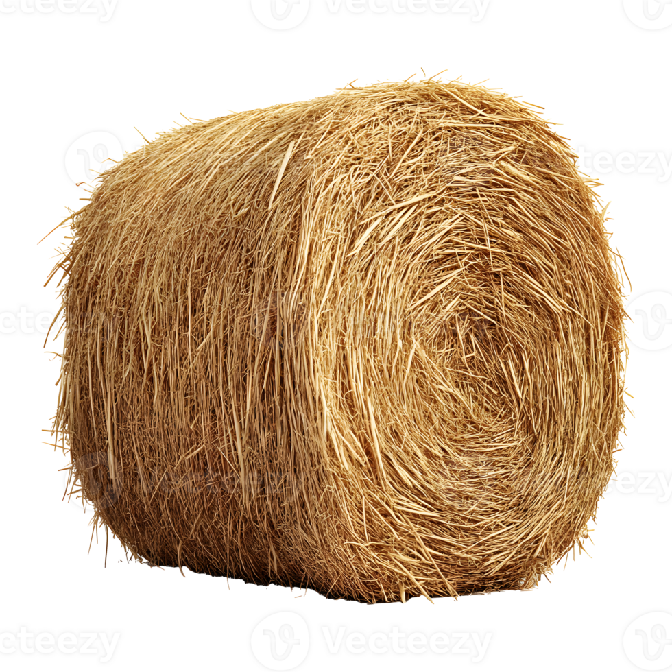Roll of Hay Cutout with Transparent Background png