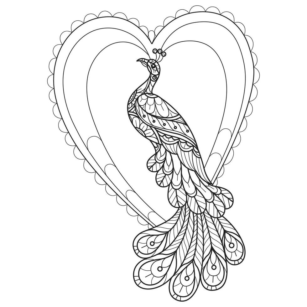 Peacock in heart frame hand drawn for adult coloring book vector