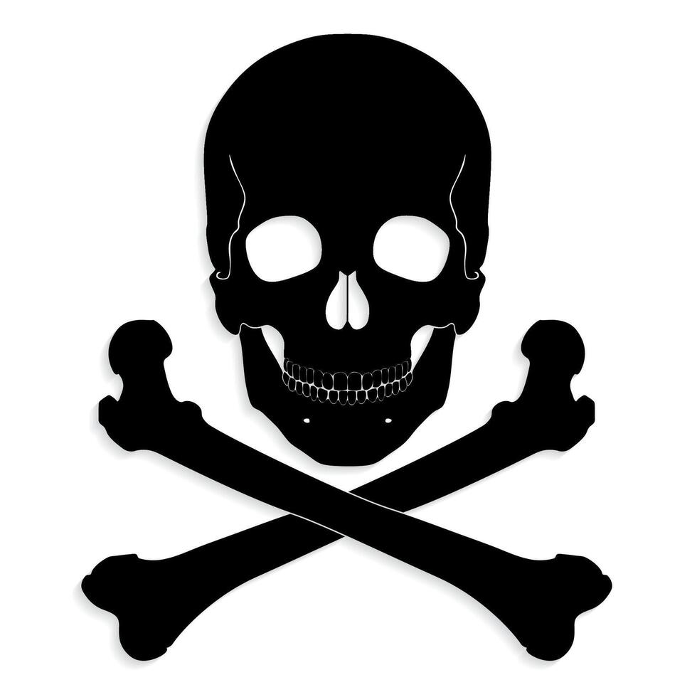 silhouette skull crossbones illustration vector