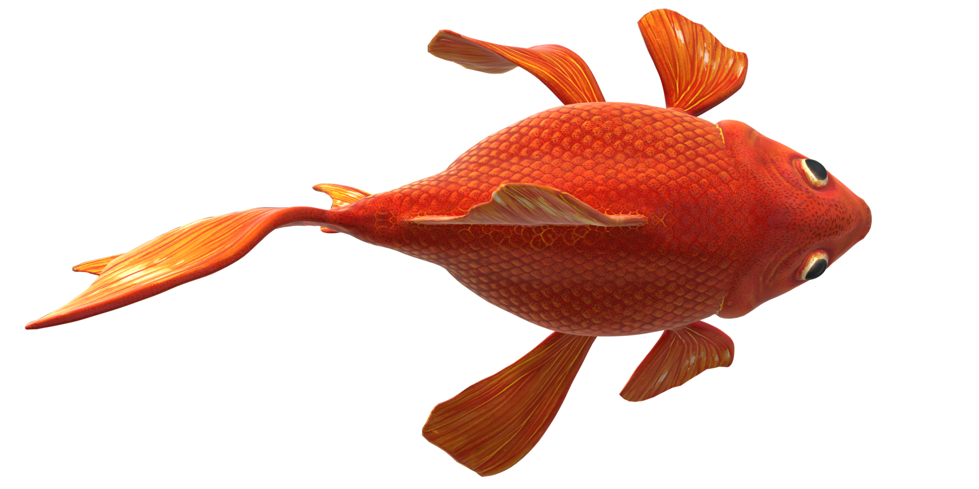 High Quality 3D Goldfish isolated on a Transparent Background png