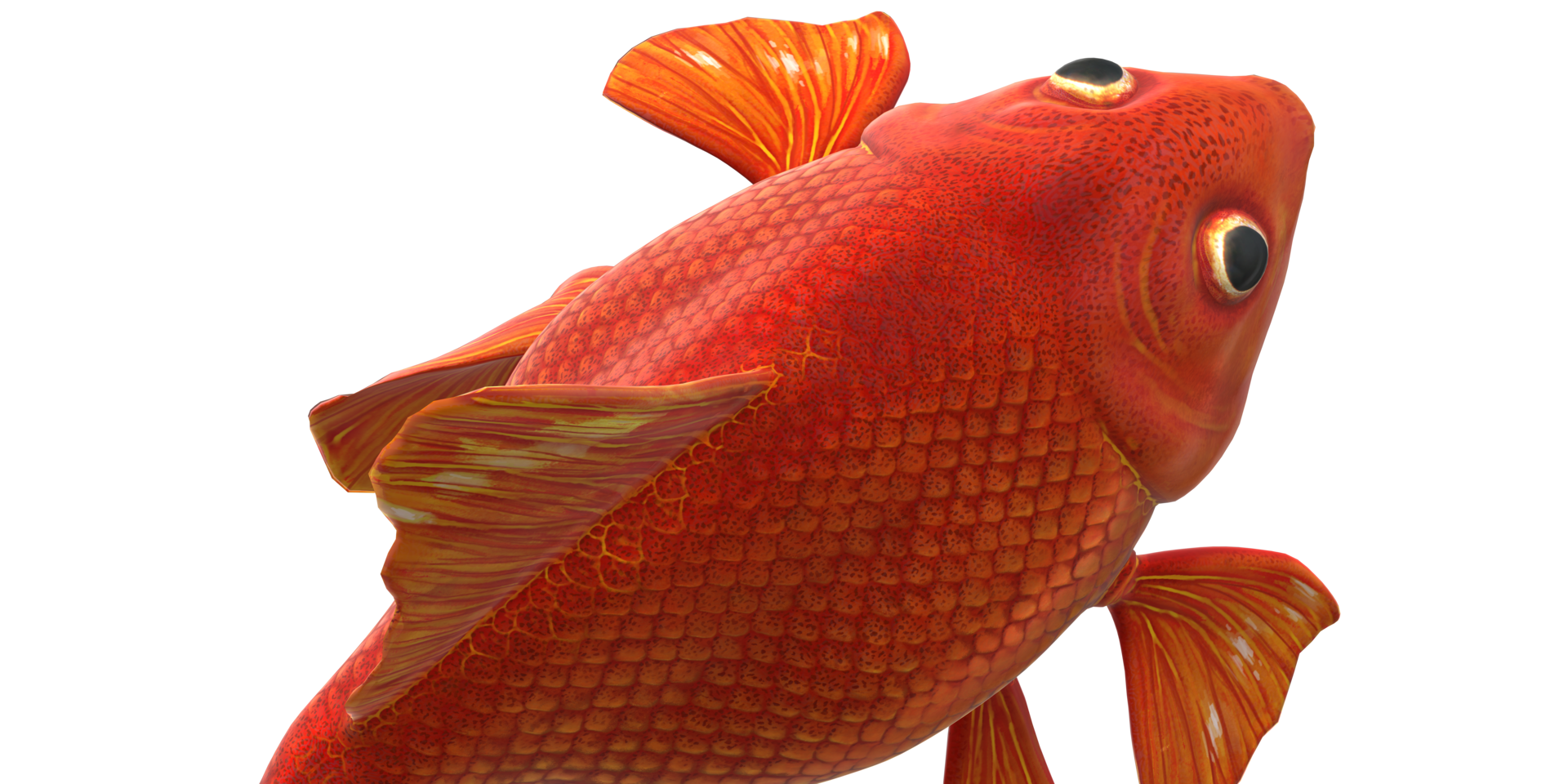 Stunning 3D Goldfish isolated on a Transparent Background png