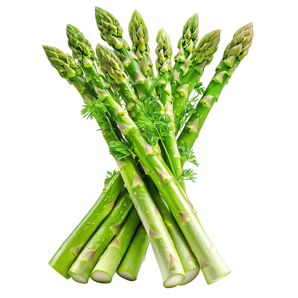 Fresh green asparagus bunch, vibrant and healthy. png