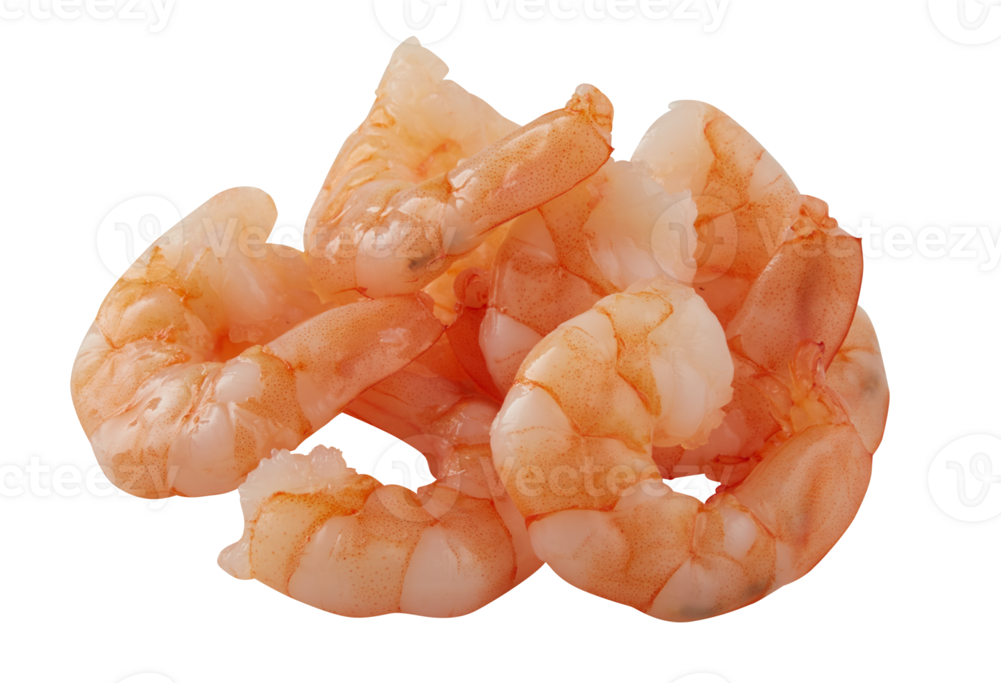 fresh shrimp cut out isolated transparent background png