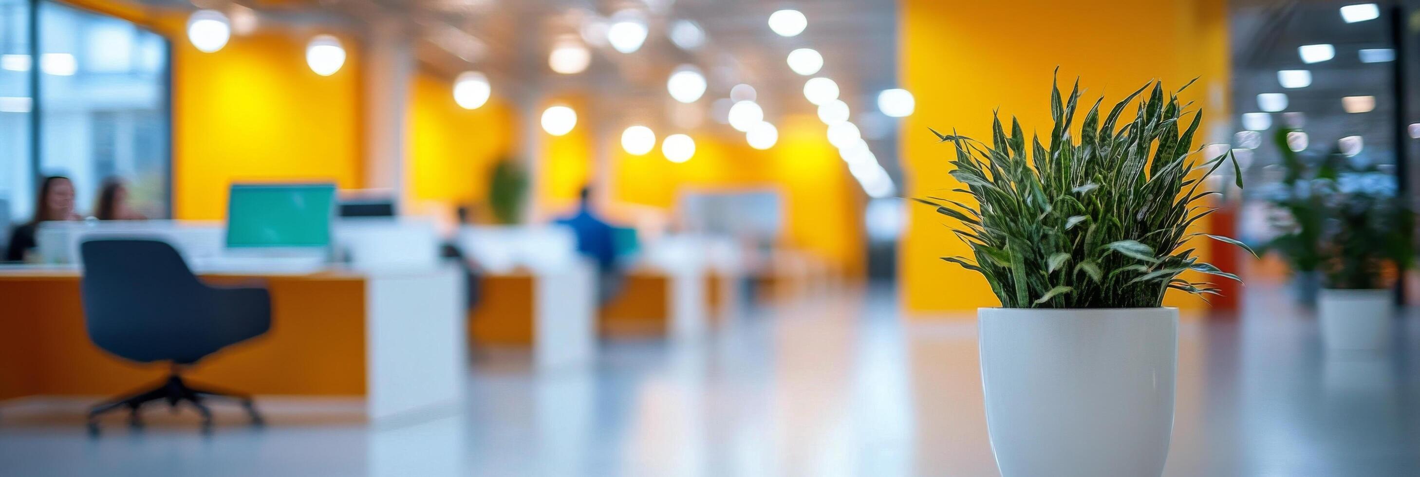 Bright modern office space with creative workstations and plants during daytime hours photo