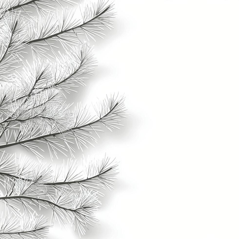 Snow covered branches create a serene winter atmosphere against a soft white backdrop photo