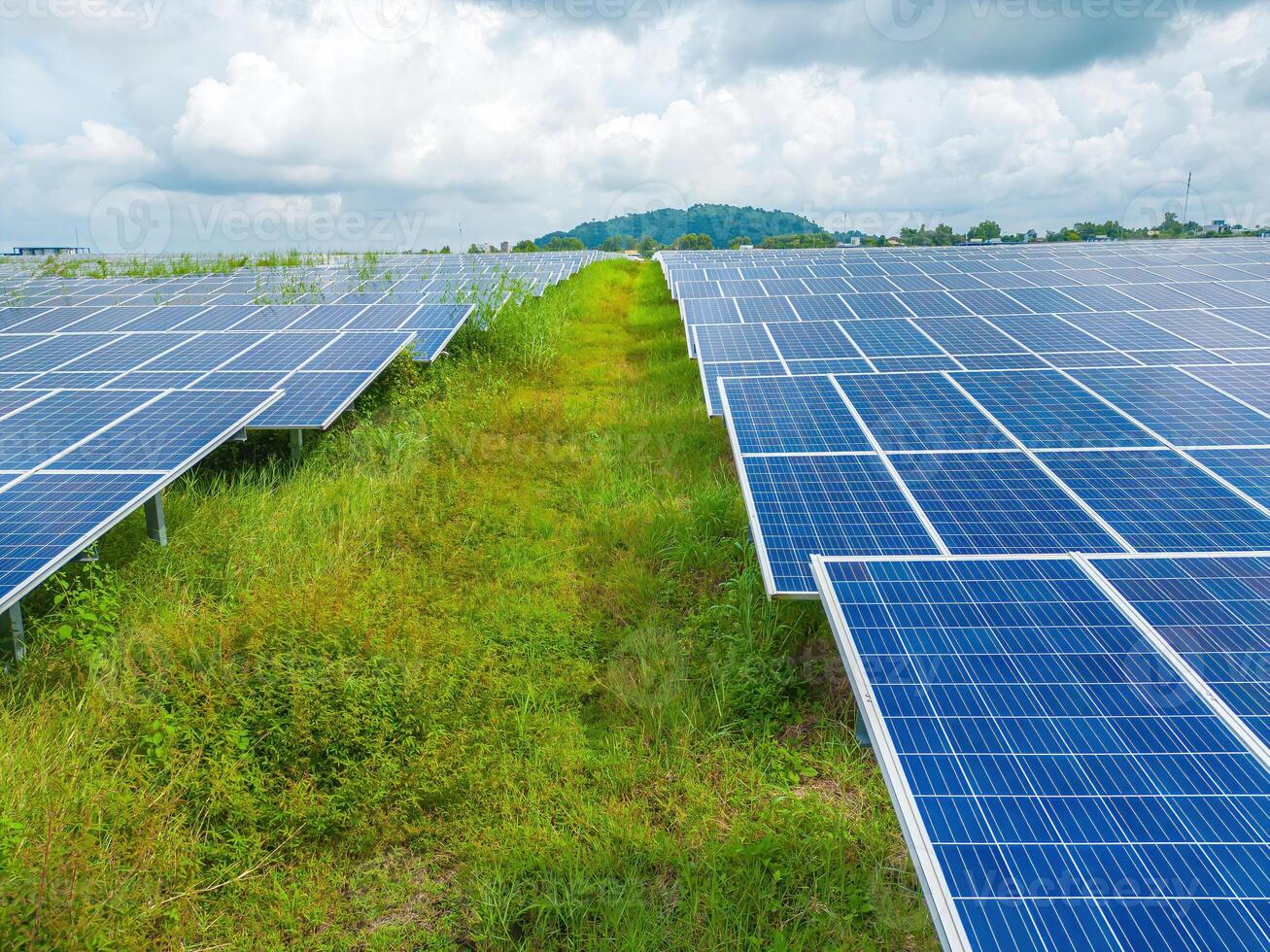 Top view of Solar panels on farm. Alternative source of electricity. solar panels absorb sunlight as a source of energy to generate electricity creating sustainable energy photo