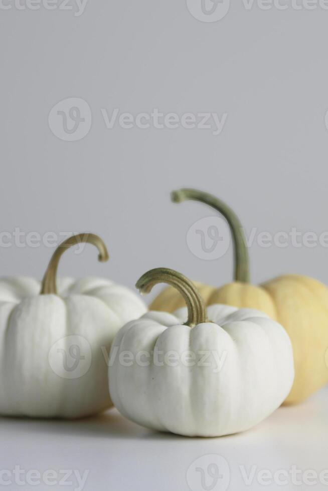 Three decorative pumpkins in shades of white and yellow arranged on a simple backdrop photo