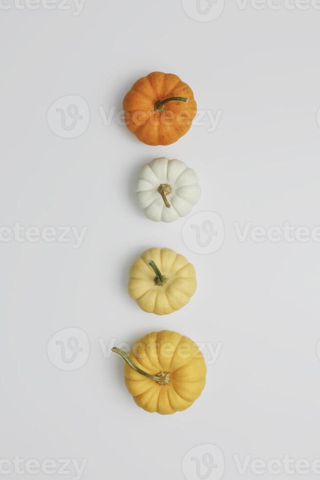 A collection of four decorative pumpkins arranged vertically on a plain white background photo