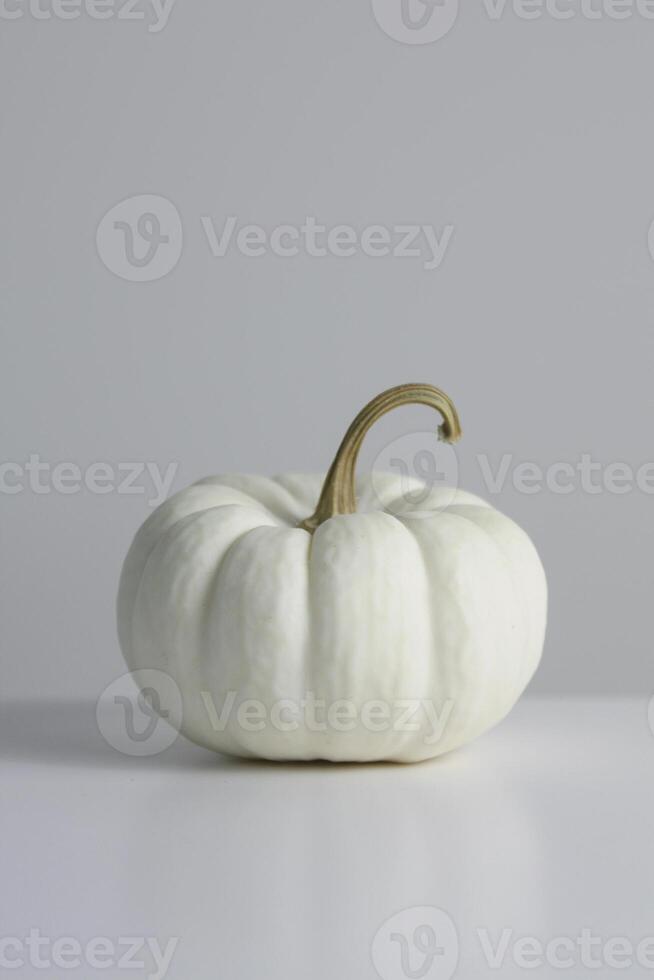 A single white pumpkin sits on a clean surface highlighting its unique beauty in autumn photo