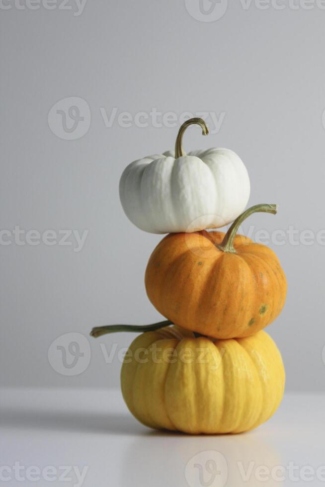 Three stacked pumpkins in white, orange, and yellow on a simple background during autumn season photo