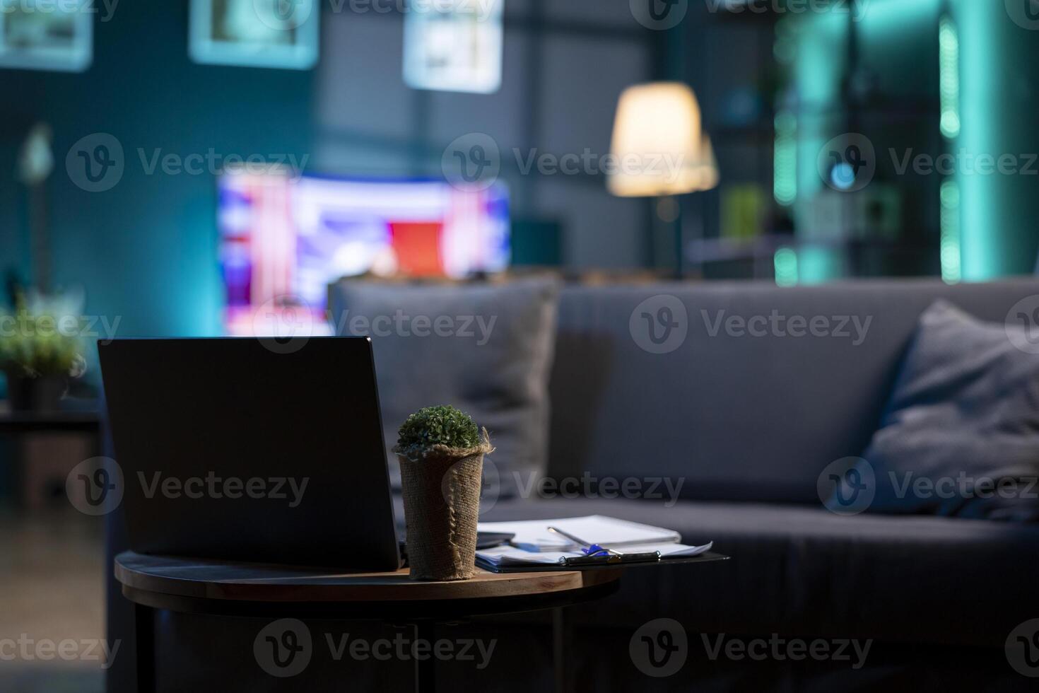 Focus on laptop and mini house plant on coffee table with television screen in blurry background. Neon lit apartment with cozy couch in front of smart TV displaying news, close up shot photo