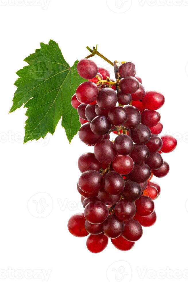 Bunch of ripe seedless red grapes with leaf isolated on white background. photo