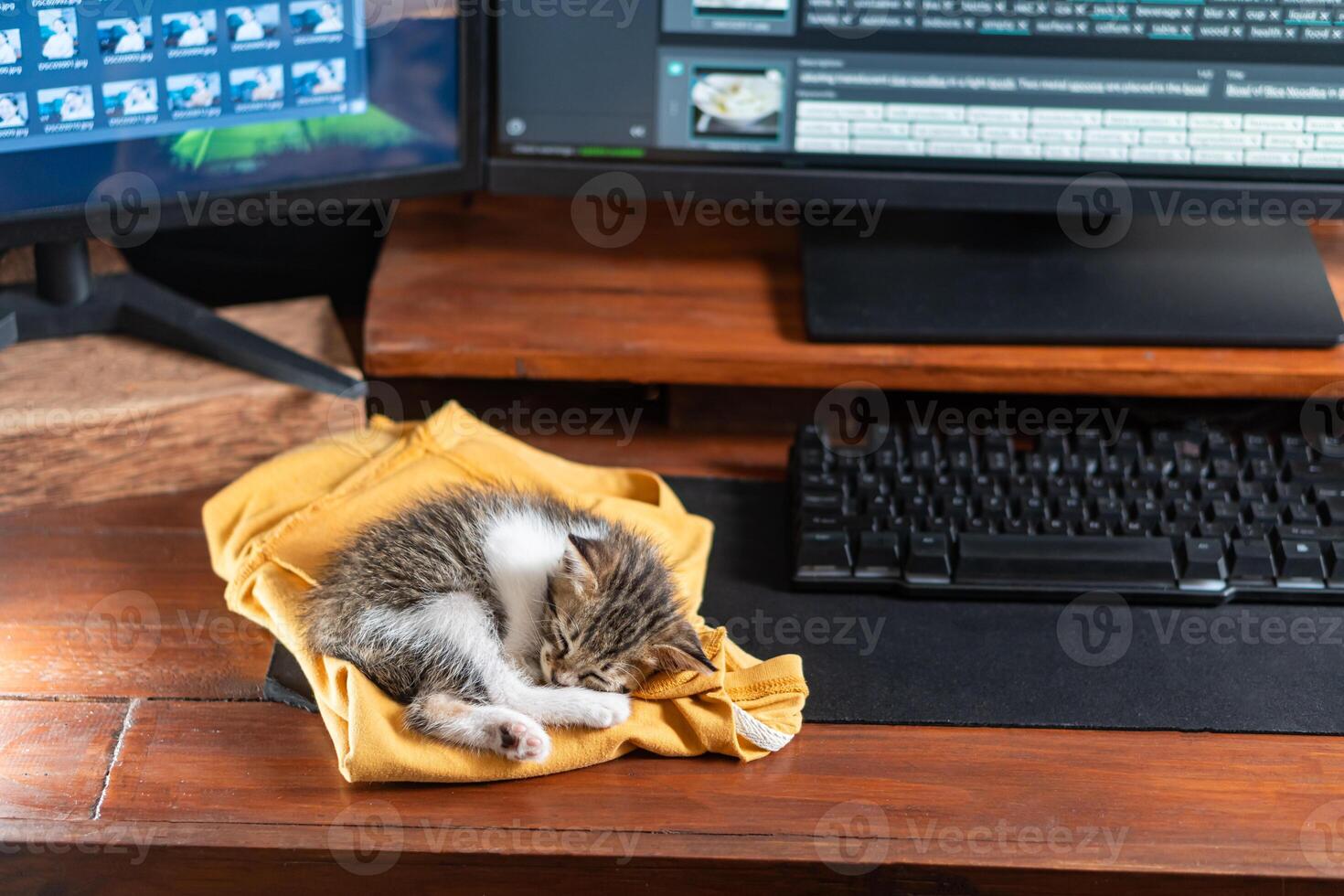 Cute Kitten Sleeping Peacefully on a Desk Near Computer photo
