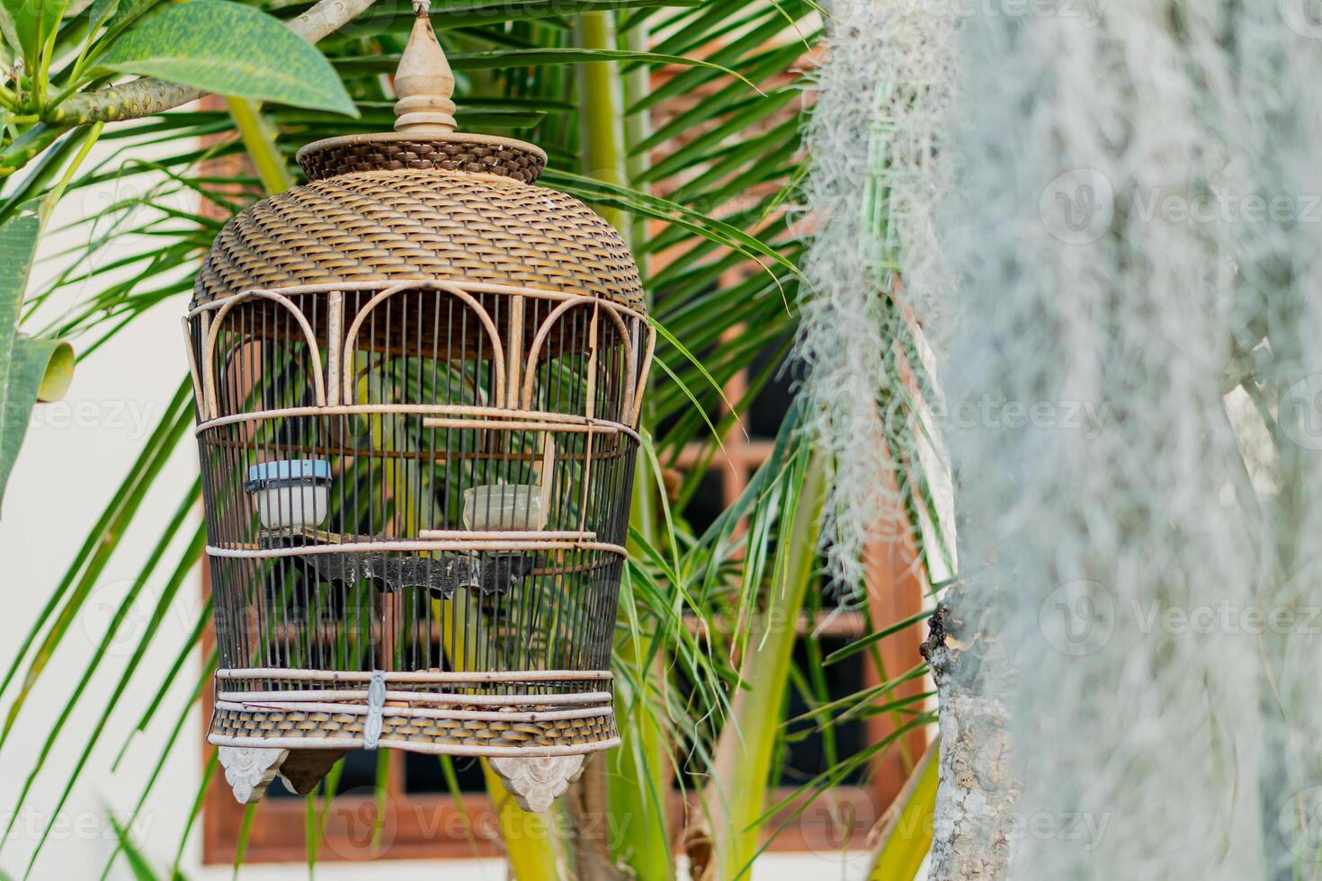 Decorative Birdcage in Tropical Garden photo
