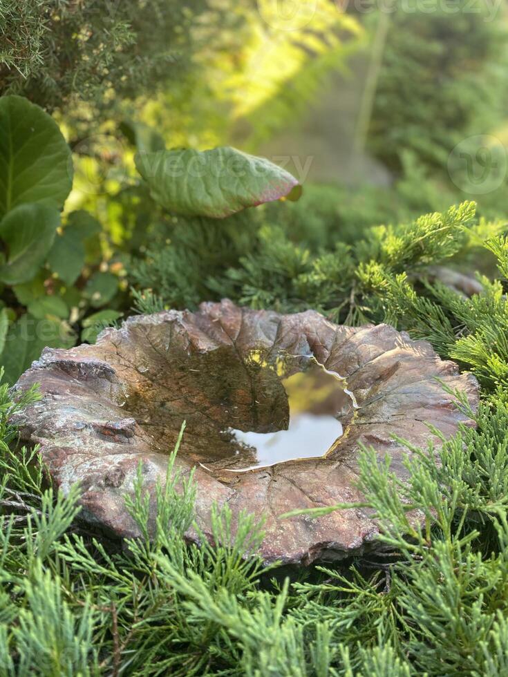 A decorative water container in the shape of a leaf, surrounded by green plants in a garden. photo