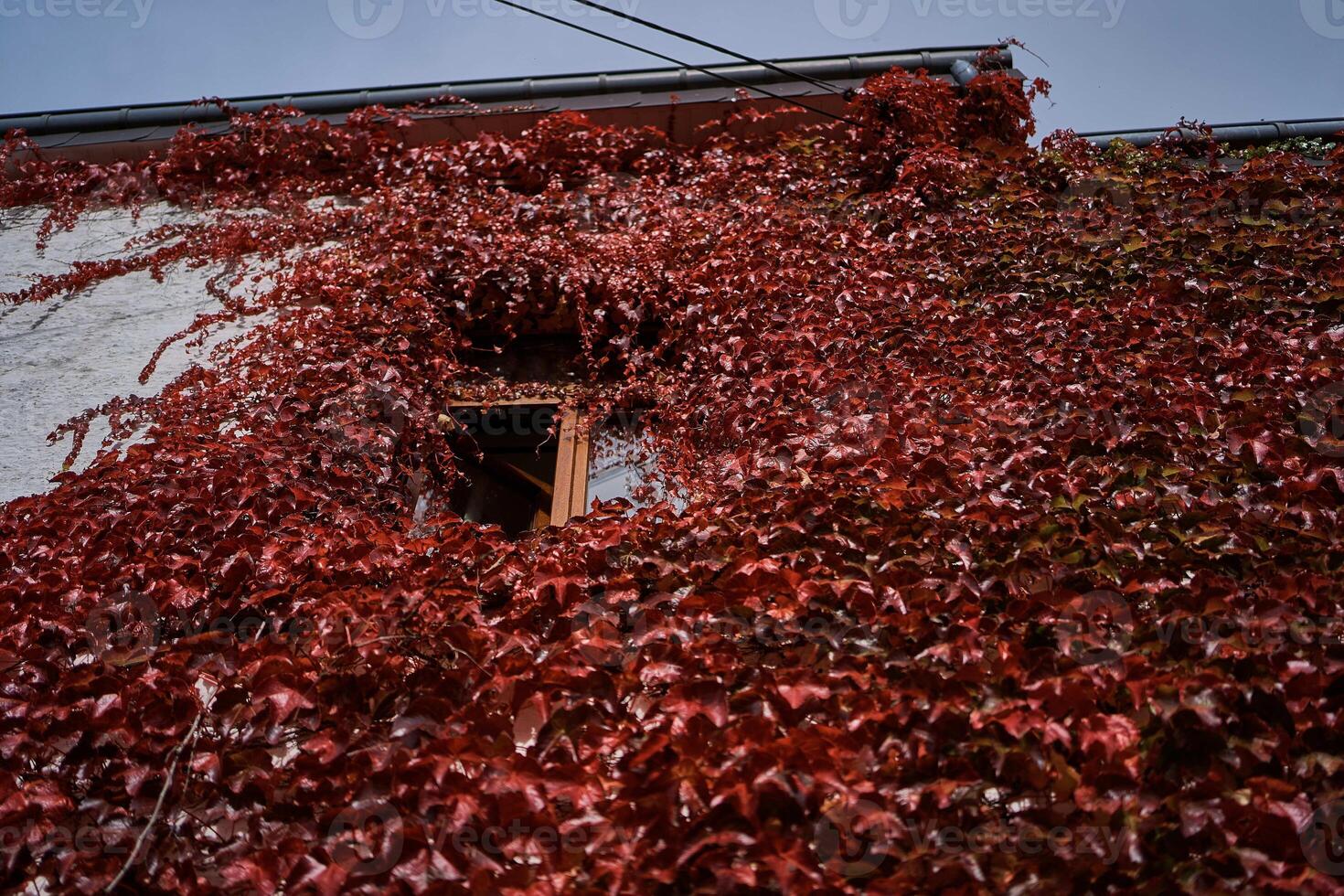 landscapes of an autumnal European village, Belgium, leaves colored by fall photo