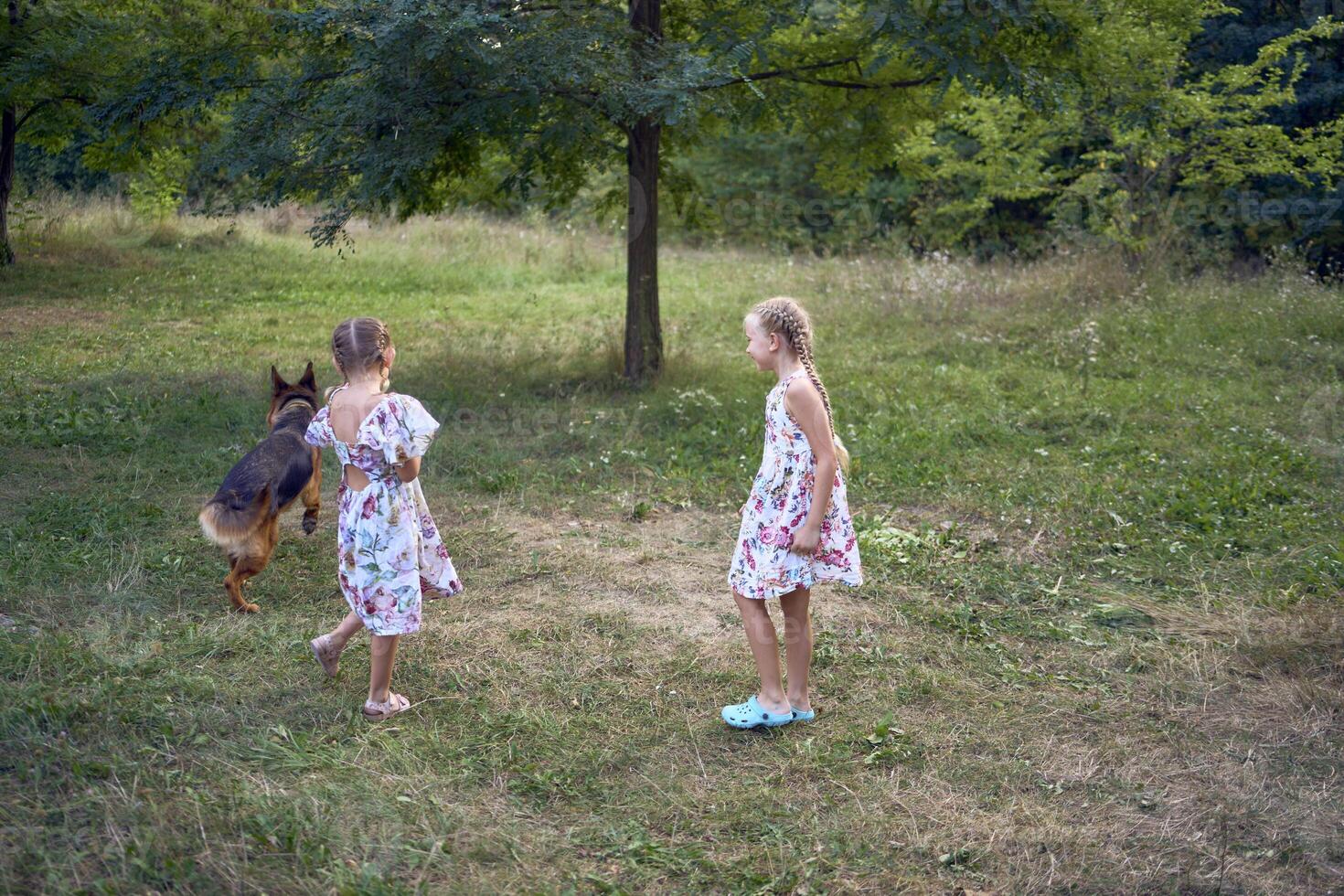 little girls sisters play with german shepherd dog during easter picnic in the garden photo
