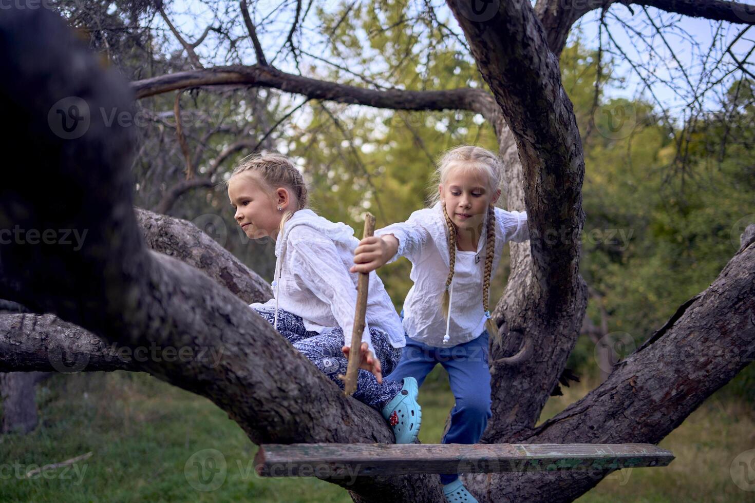 little sisters girls climb a tree, mother secures them below, camping with children photo