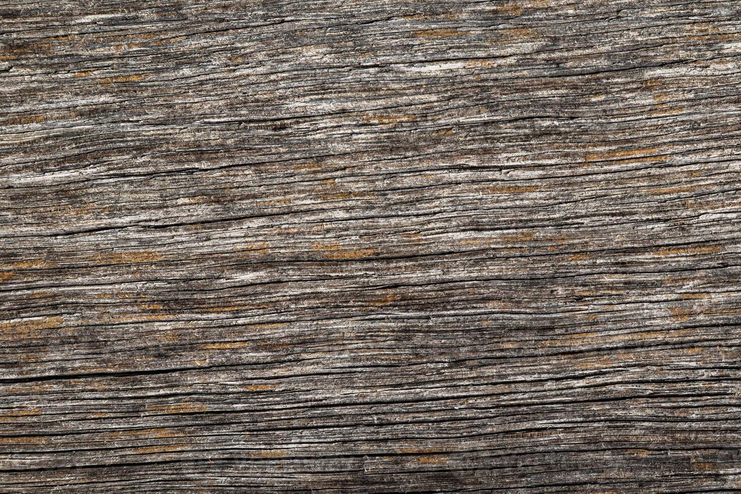 Wood abstract texture. Surface grunge backdrop. Dirty wooden effect pattern. Material background. photo