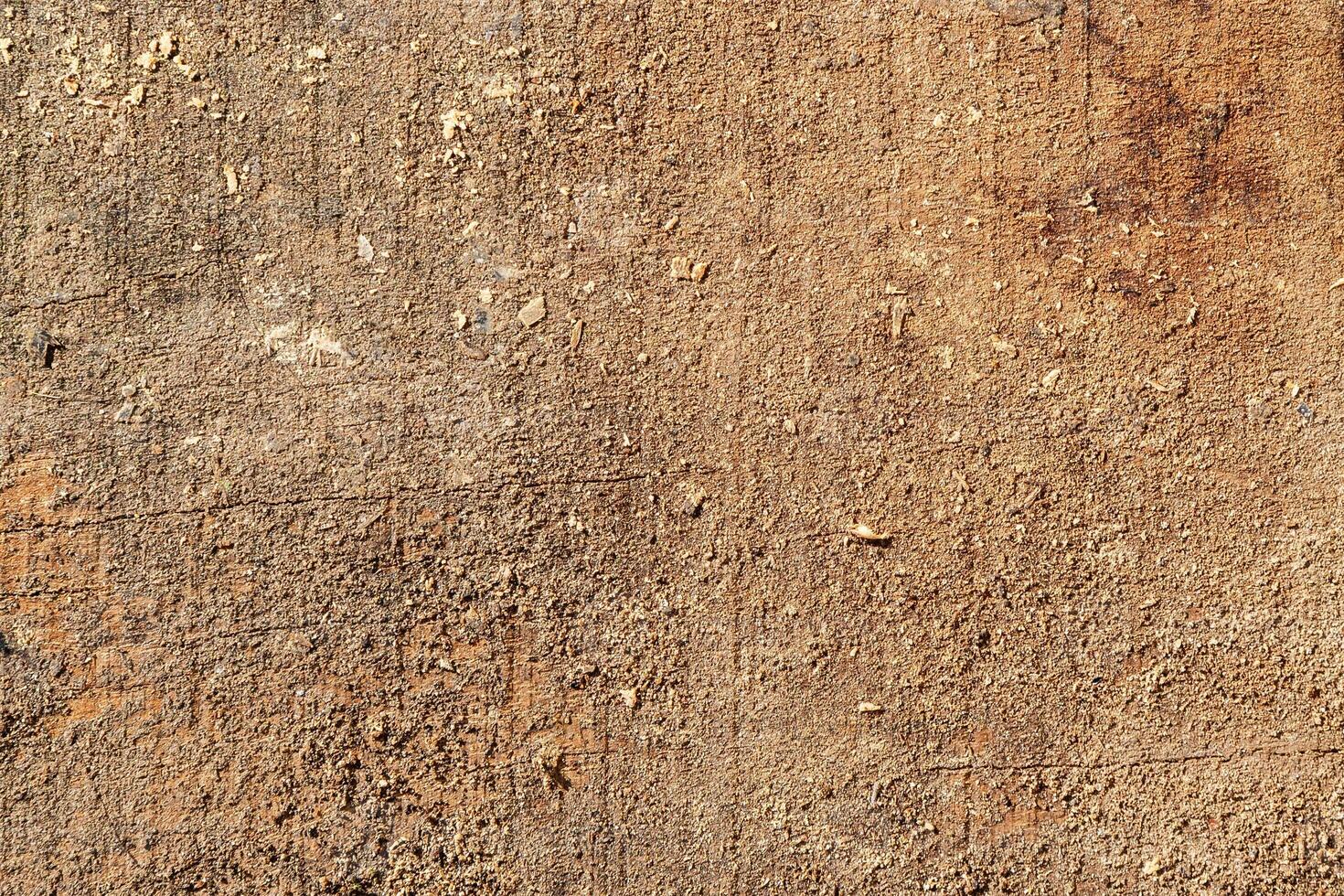 Wood abstract texture. Surface grunge backdrop. Dirty wooden effect pattern. Material background. photo