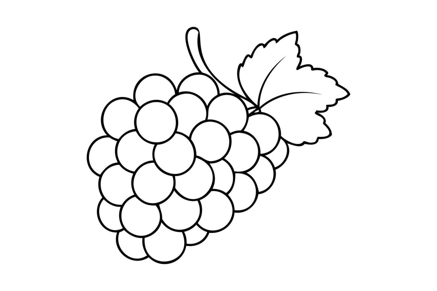 line art of grapes vector