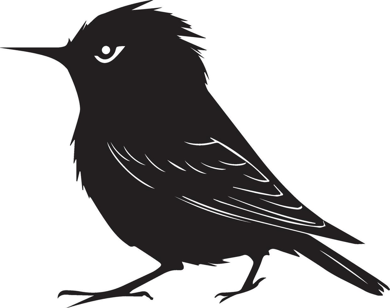 black bird silhouette on white background vector