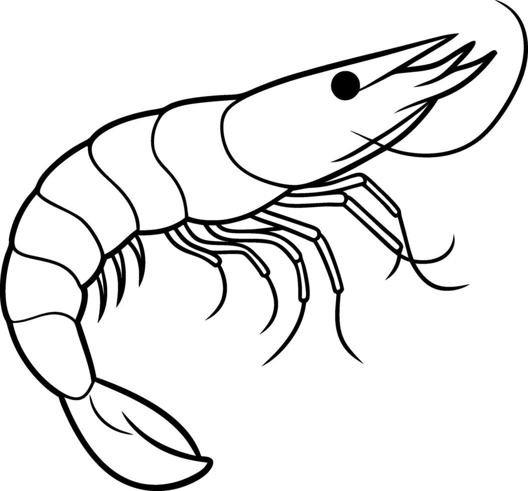 hand drawn illustration of a shrimp vector