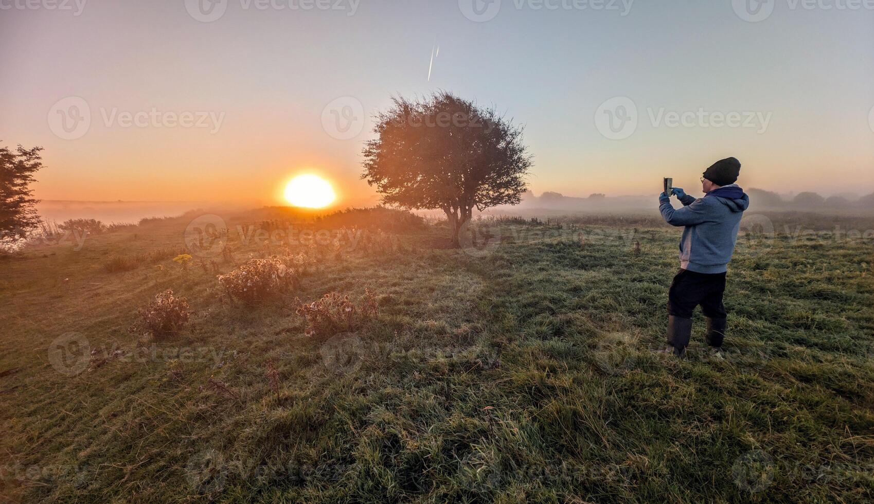 Beautiful sunrise landscape scenery, person in the field taking photo of lonely tree, nature background, Galway, Ireland