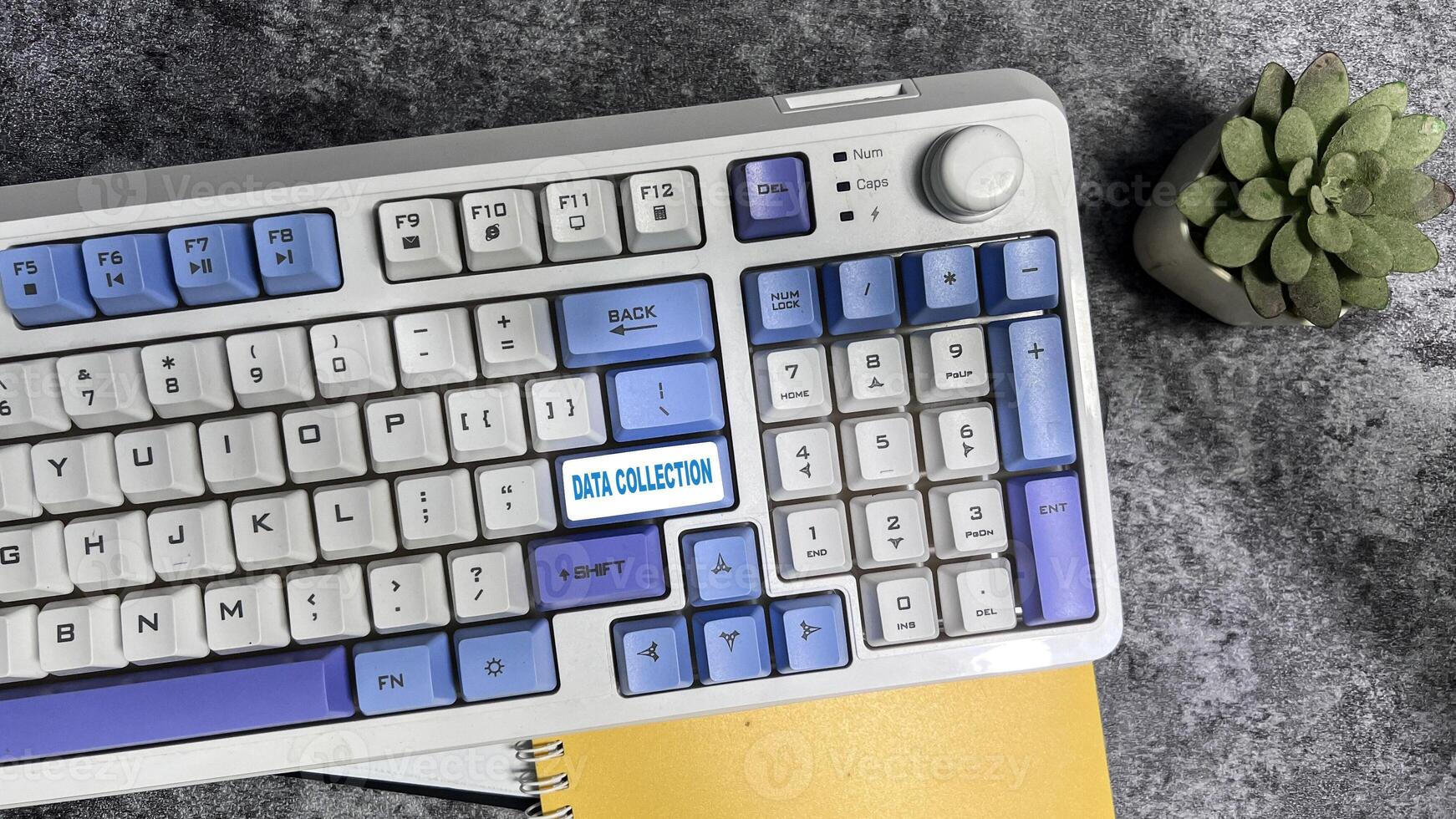 Data Collection write on keyboard isolated on laptop background photo