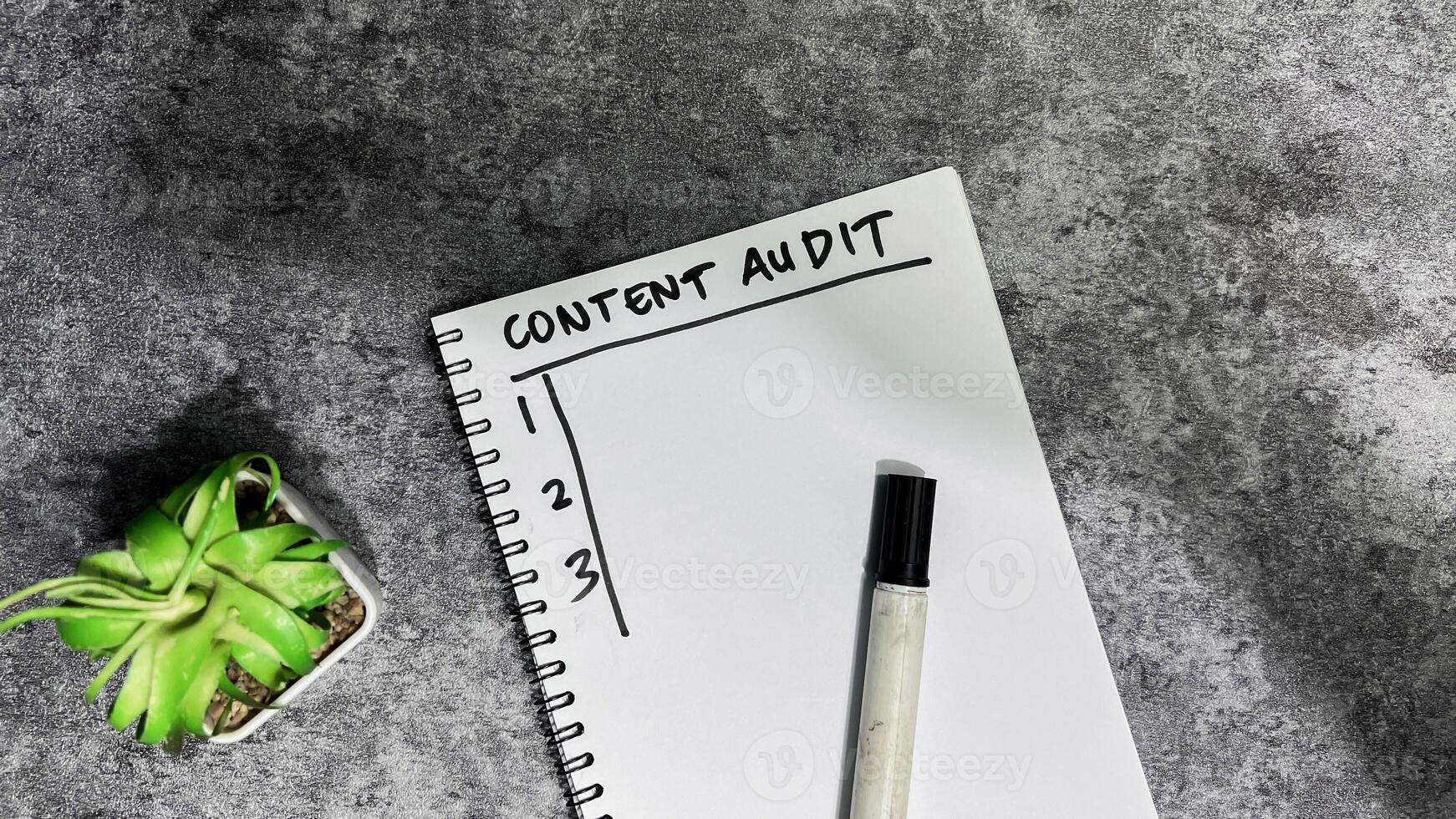 Concept of Content Audit write on book. Supported by an additional services isolated on Wooden Table. photo