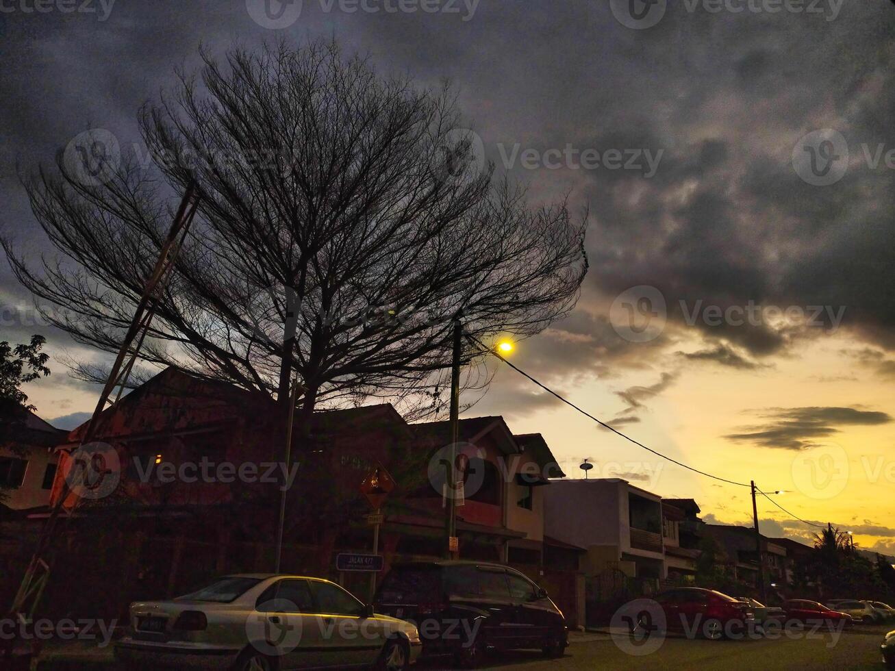 As dusk settles, trees stand against a dramatic sky filled with clouds. Streetlights glow softly while nearby homes add charm to the serene atmosphere. photo