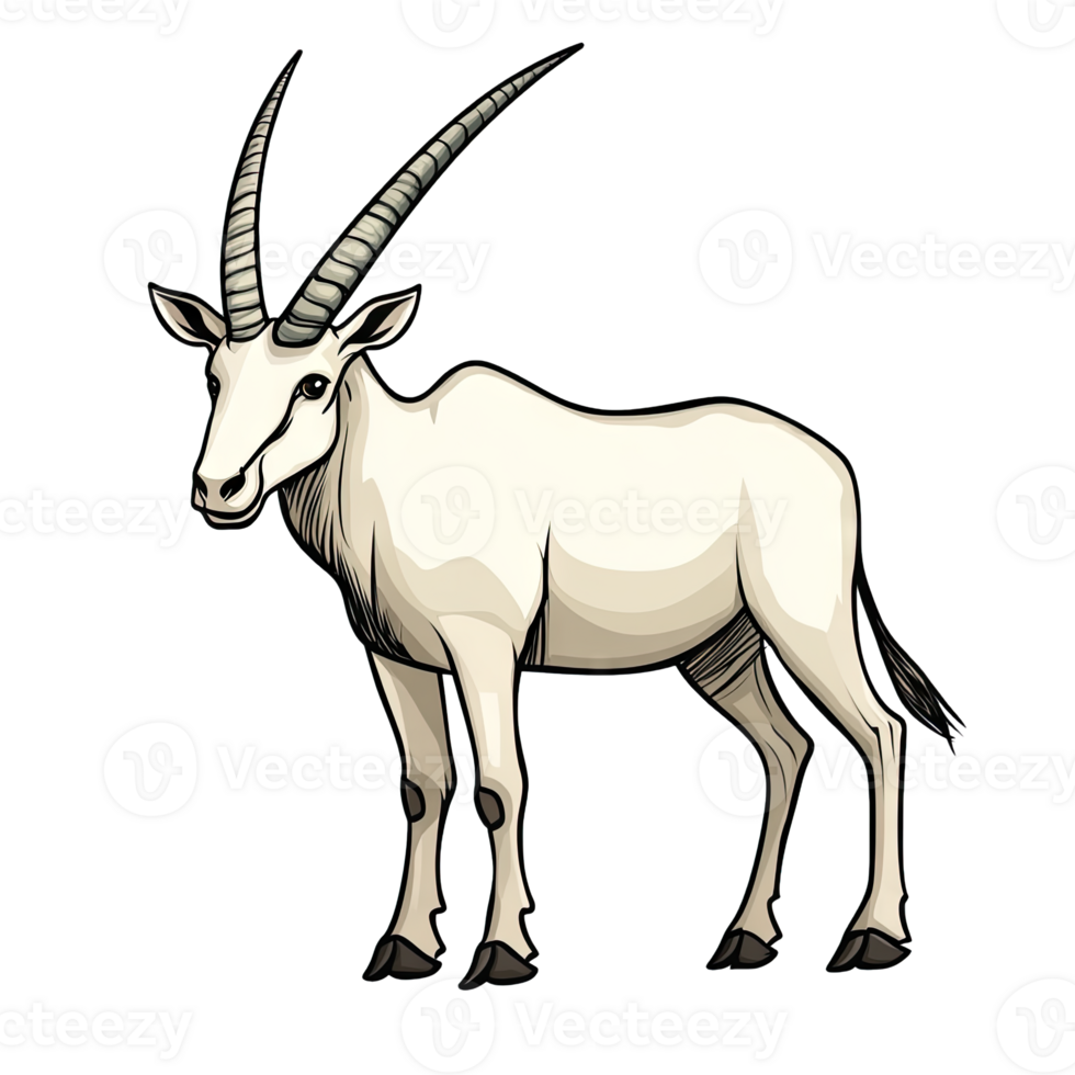 Oryx Transparent Background Icon png