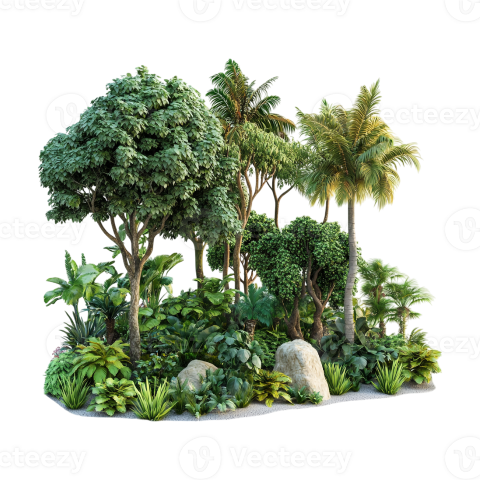 A tropical forest with trees and plants png