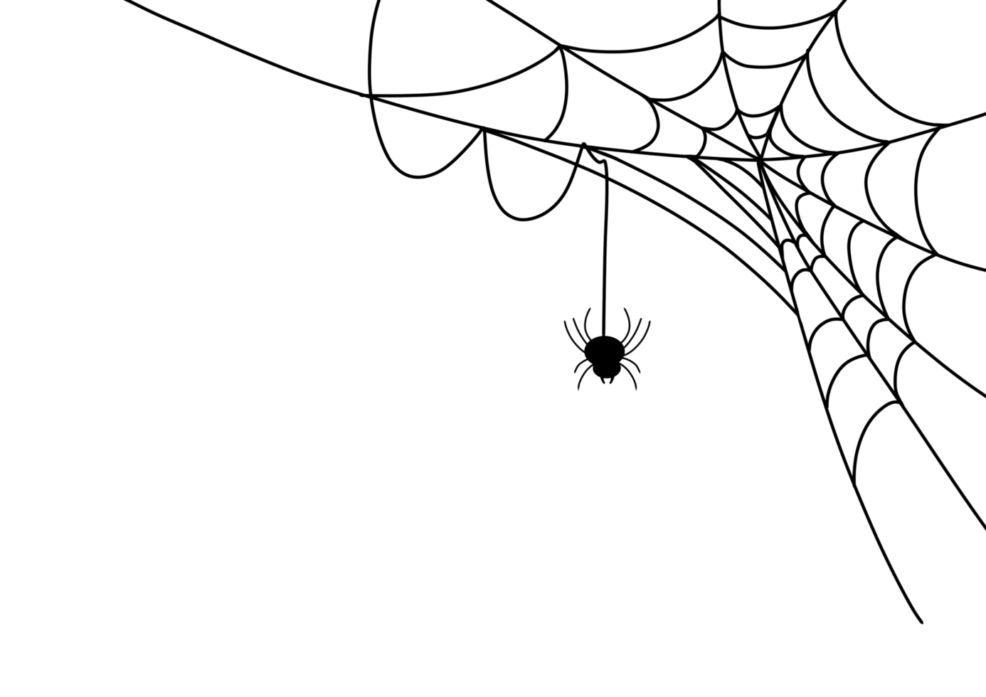 Spider web on Transparent background png
