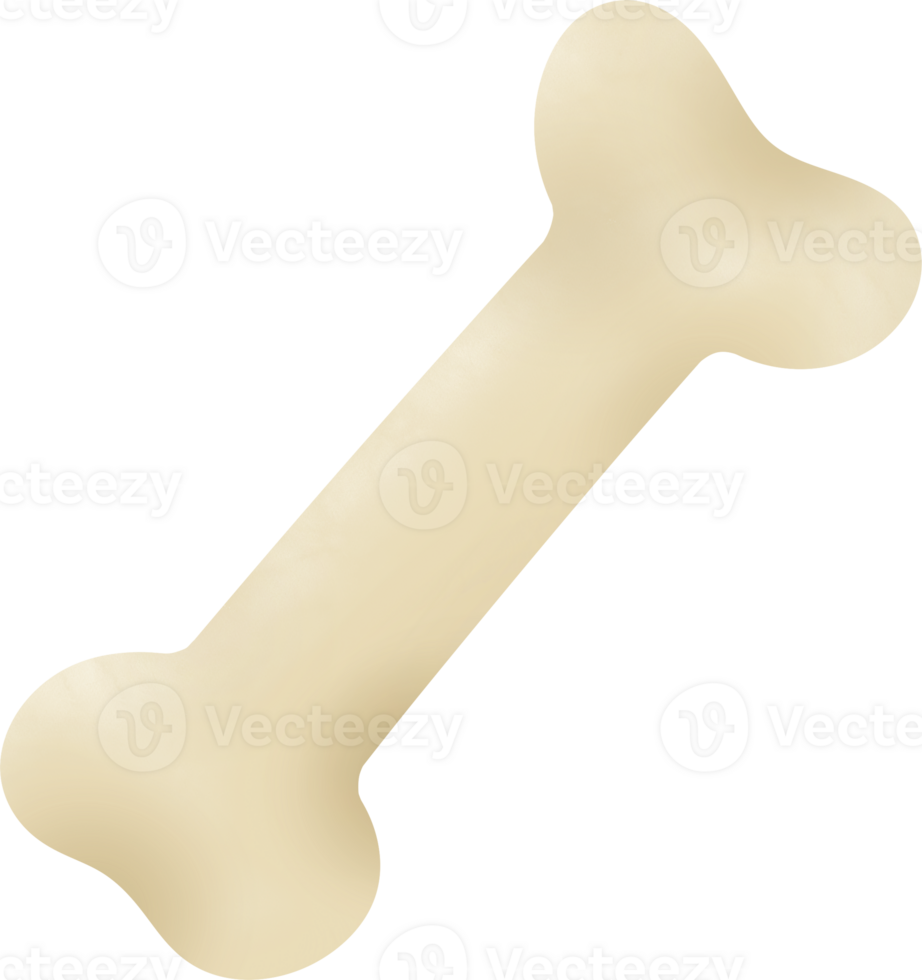 Hand drawn bone The bone is a light cream color and has a smooth, rounded surface. Cartoon flat illu png