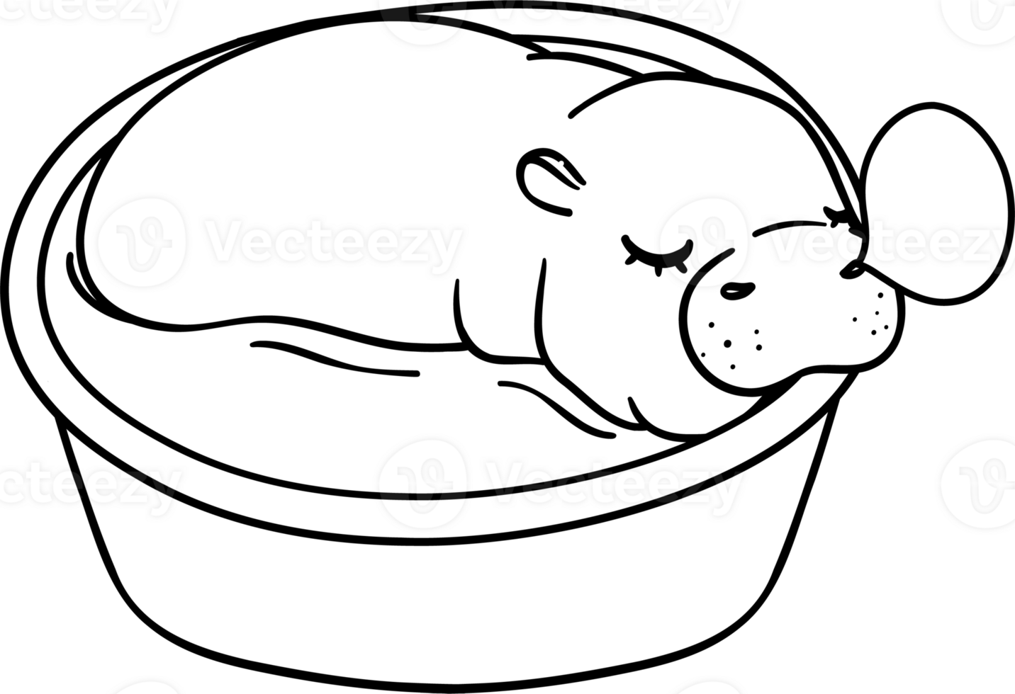 Baby Pygmy bouncy hippo sleeping in basin doodle outline coloring page png