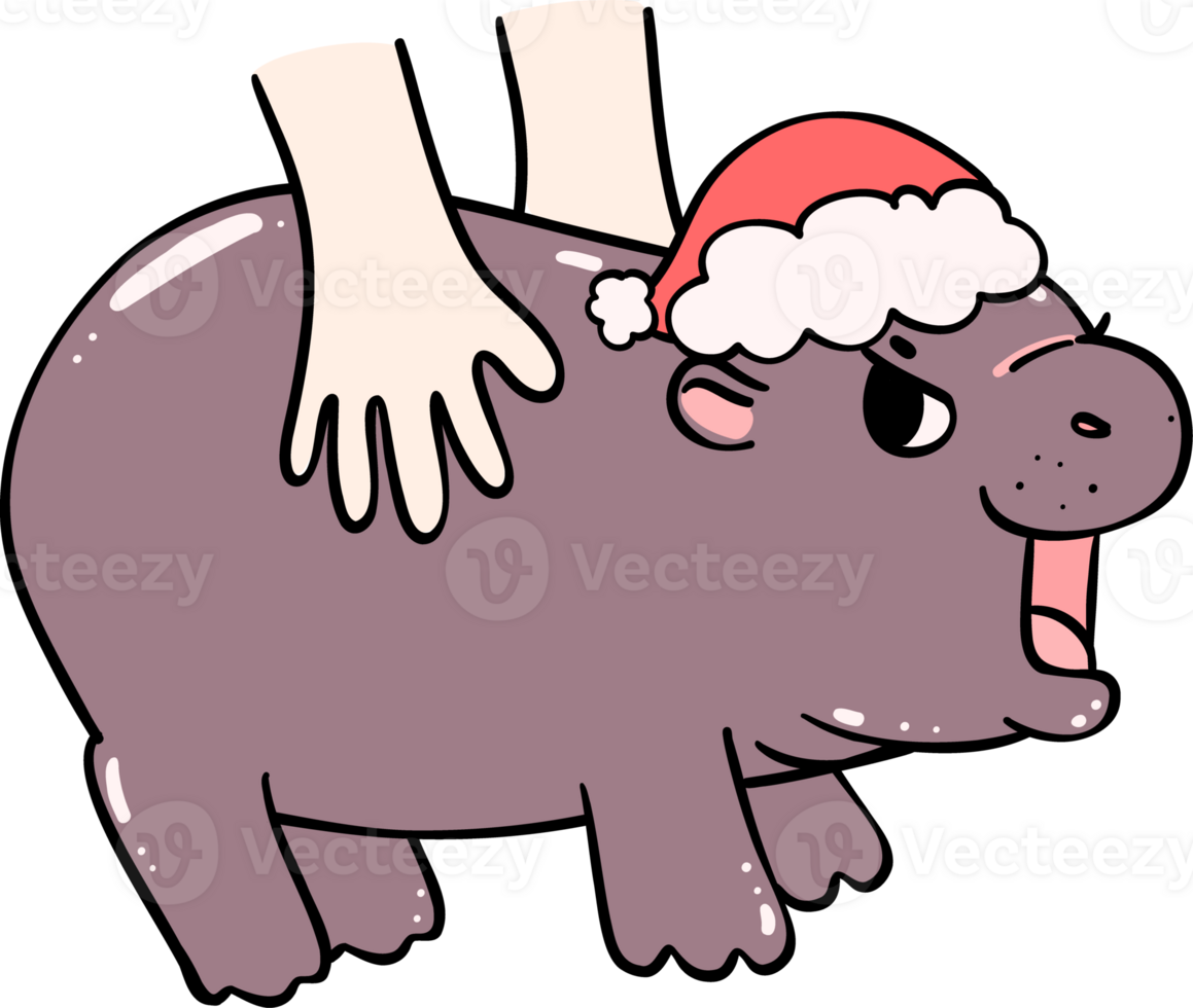 Christmas baby pygmy hippo grumpy with santa hat and hand toucing png