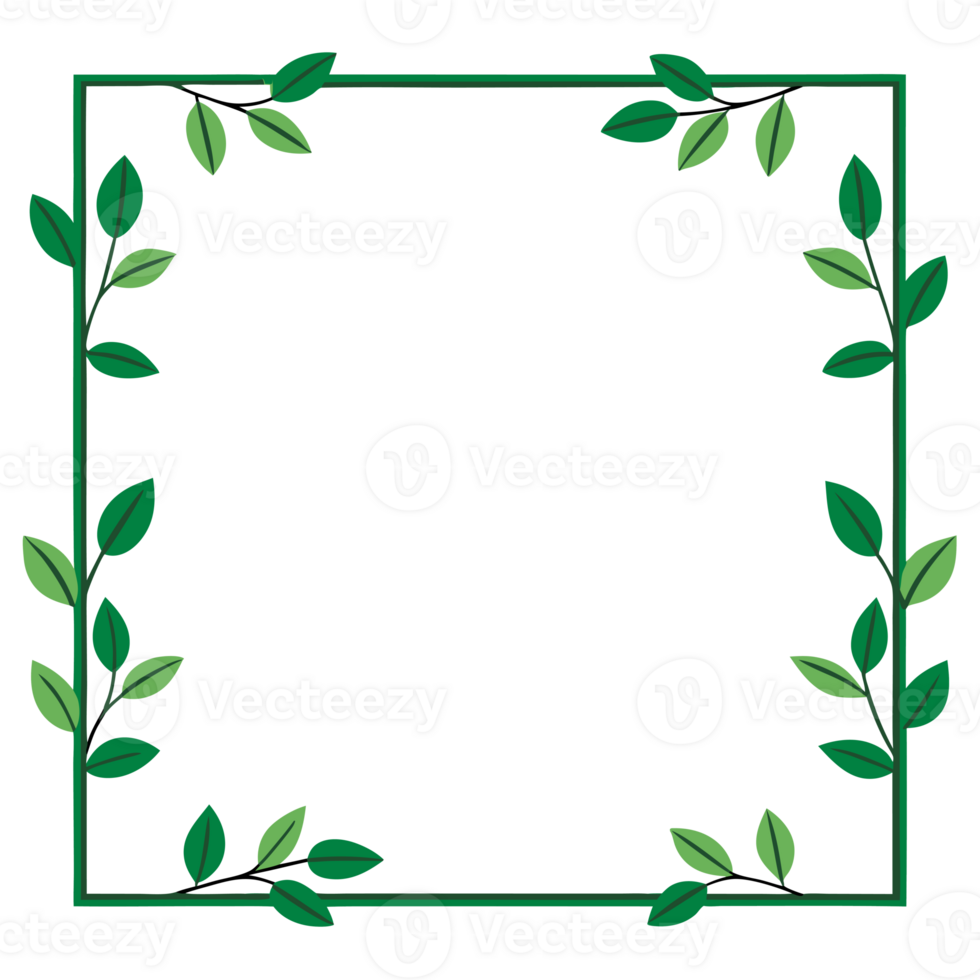A big square frame decorated with green leaves and vines surrounds an empty white space cutouts png