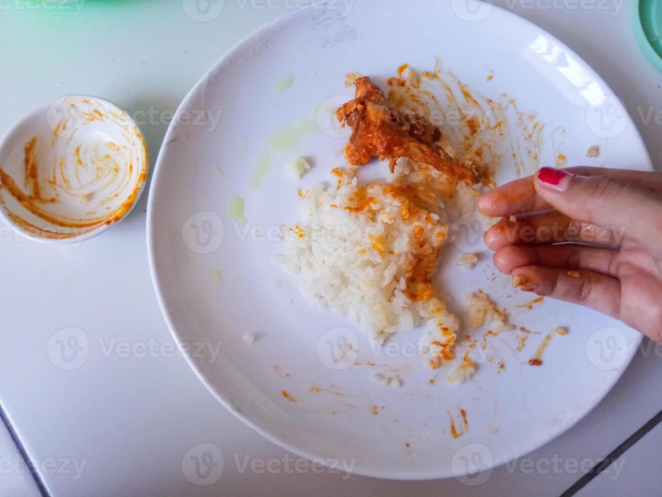 plate of rice and chicken rendang isolate on white photo