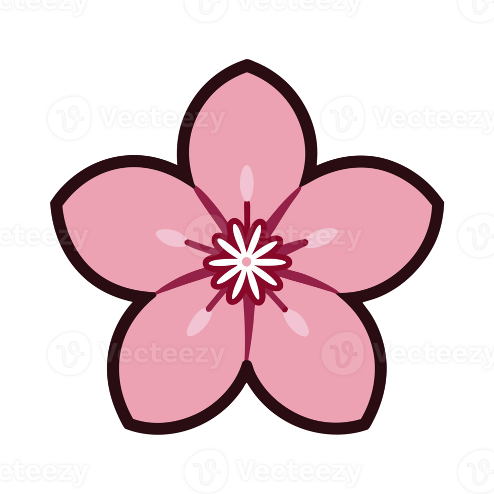 single japon five petals sakura pink spring flower cutouts png