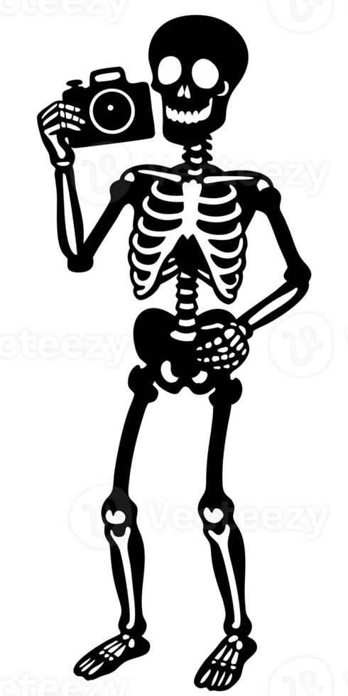 A big skeleton photographer for halloween cutouts png