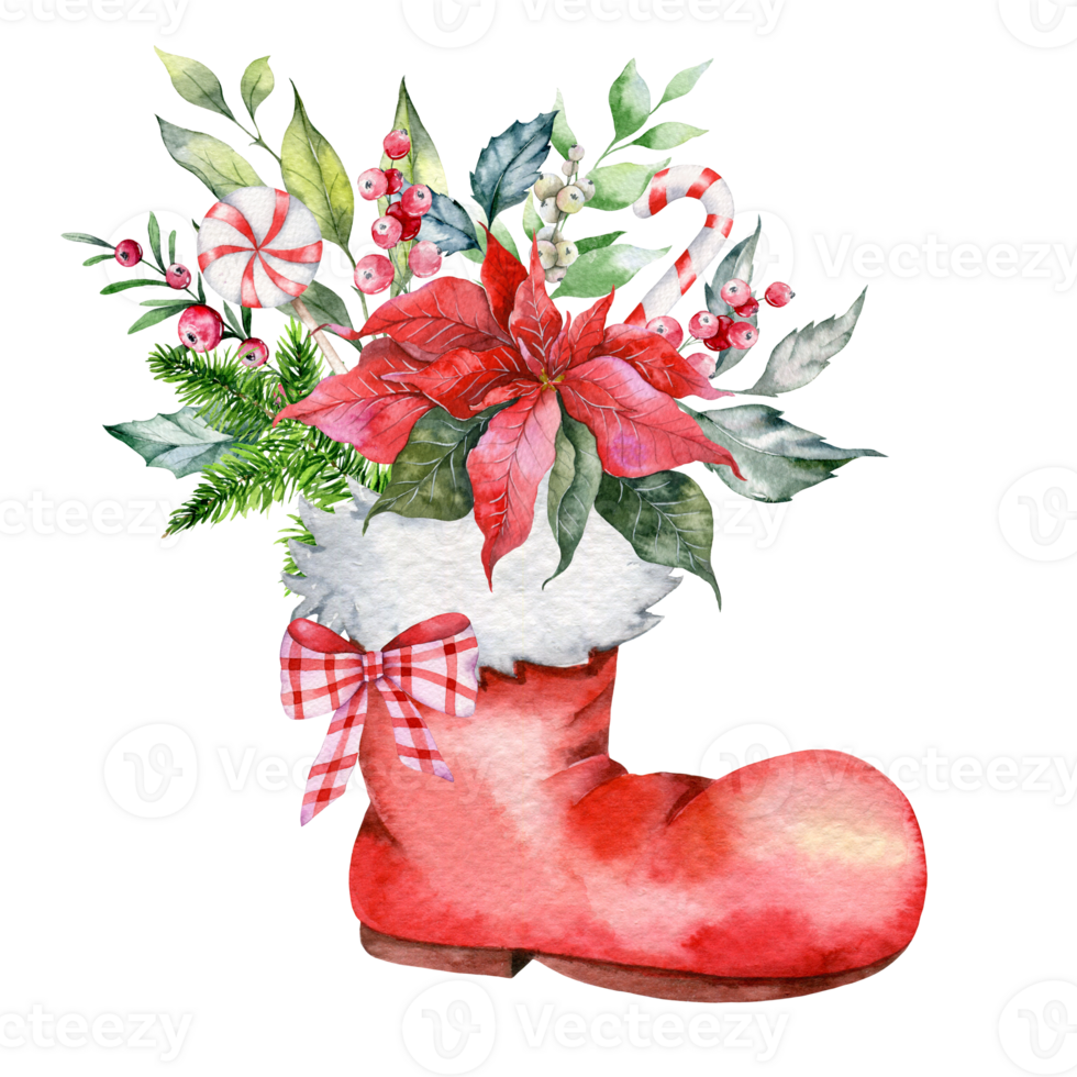 Santa Boots with Flowers and Berries. Christmas Flower Bouquet Hand Painted Watercolor Illustration. Winter Greenery. Poinsettia Watercolor Bouquet png