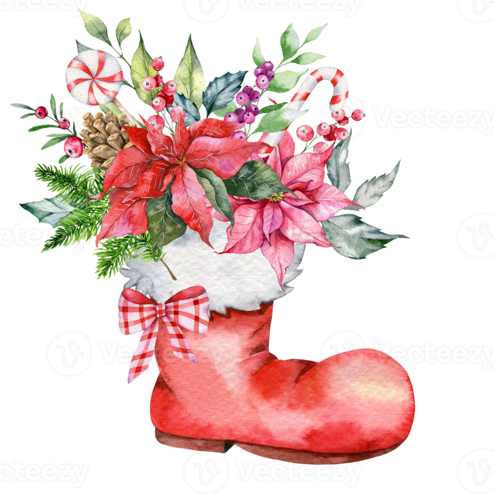 Christmas Boots with Poinsettia. Christmas Flower Bouquet Hand Painted Watercolor Illustration. Winter Greenery. Poinsettia Watercolor Bouquet png