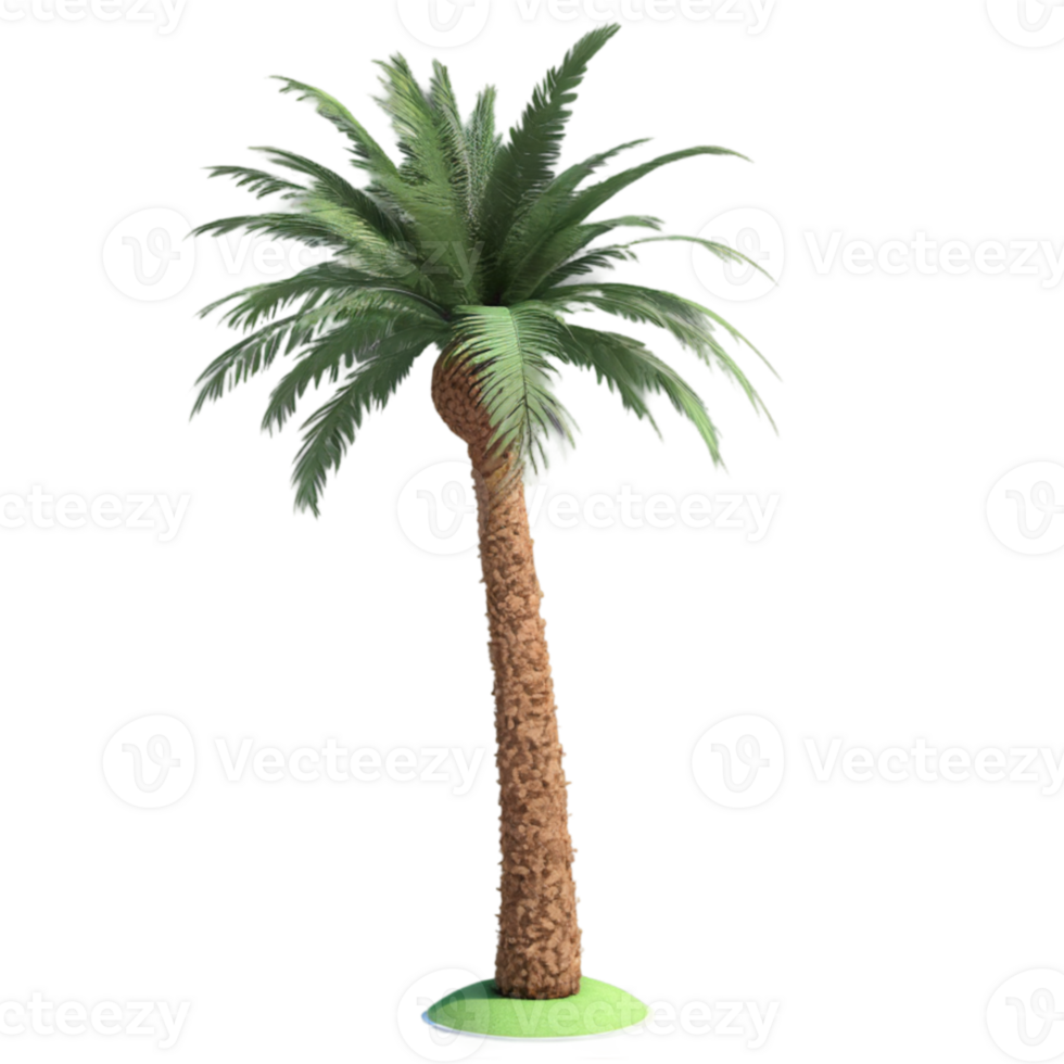 A single date palm rising from sandy terrain, symbolizing resilience and life amidst arid surroundings, perfect for a minimalist design. png