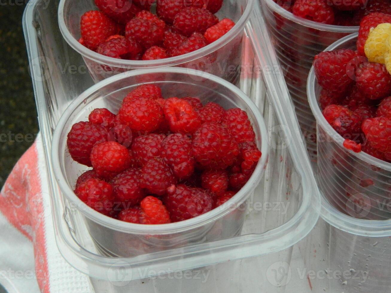 large open jar full of hand picked fresh ripe raspberries photo