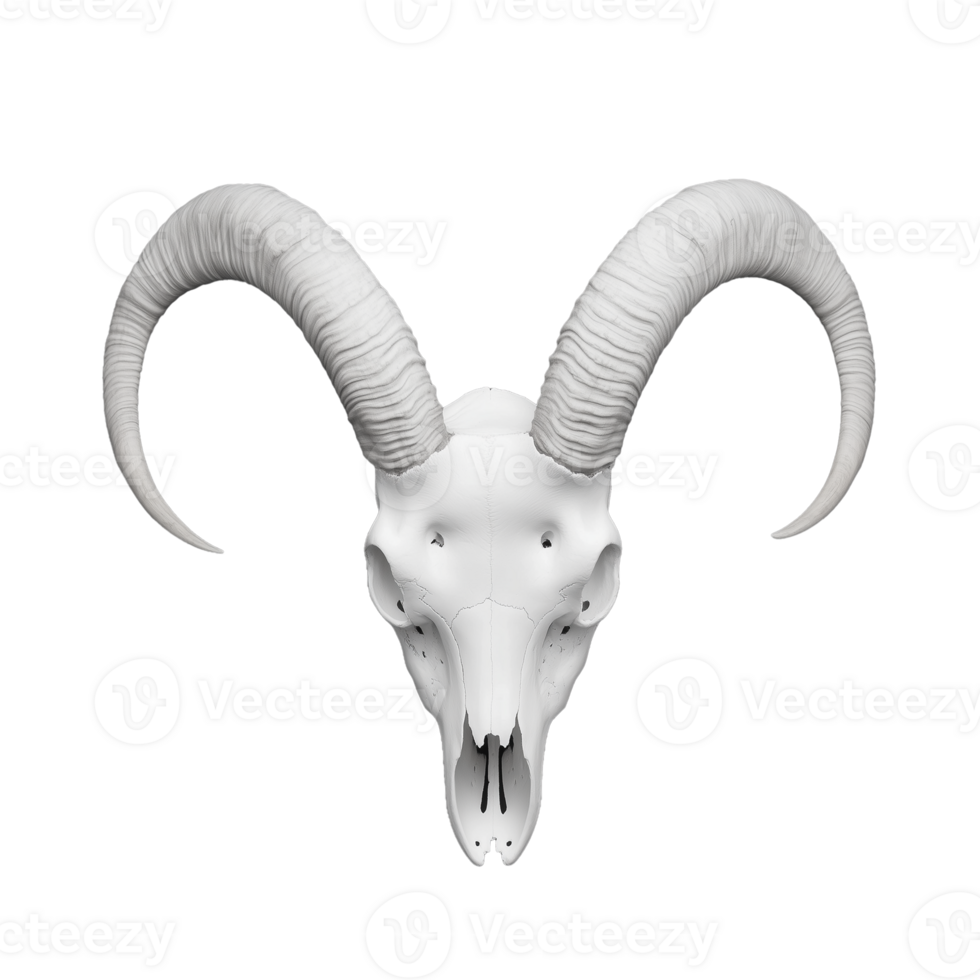 Detailed ram skull illustration on a transparent background png